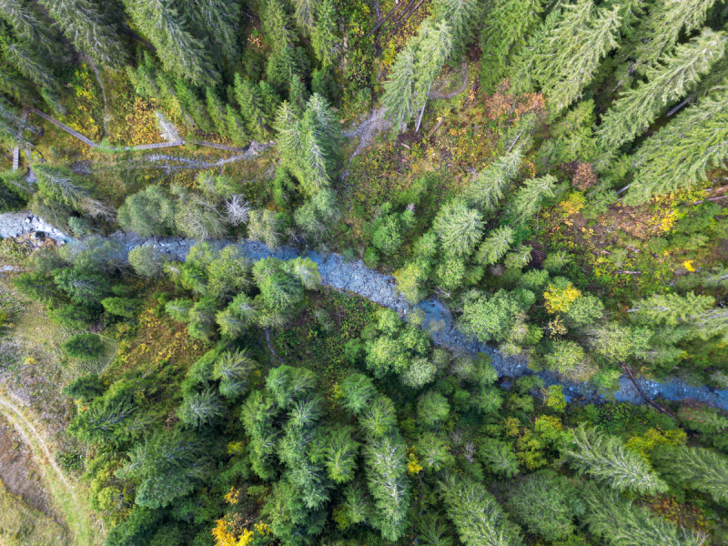 Activit&eacute;s et visites