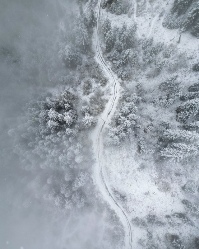 Activit&eacute;s et visites