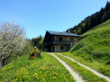 Photo 24