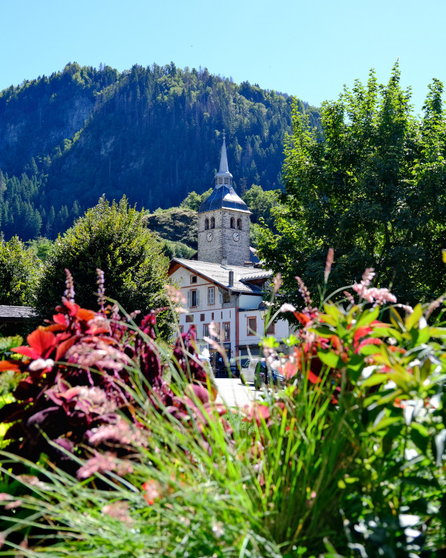 2025-palomastriby-135-5008503 2025-palomastriby-135-5008503