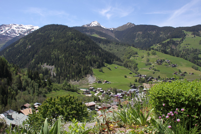 vue du chalet ete