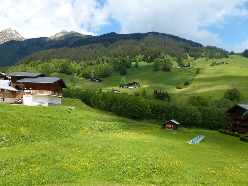 vue en été