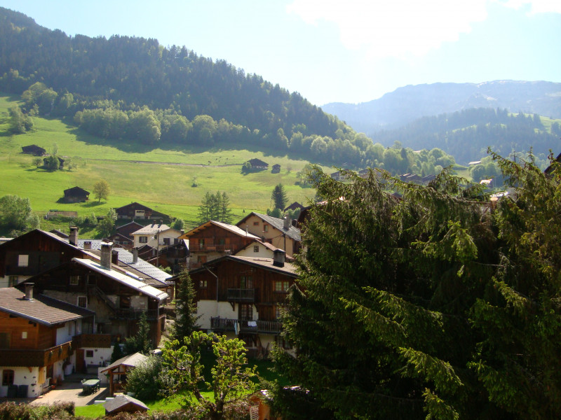 image277.jpg image277.jpg