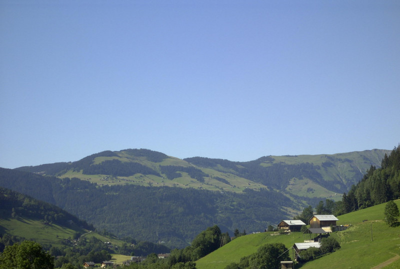 saisies.jpg saisies.jpg