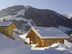 le coralis le coralis