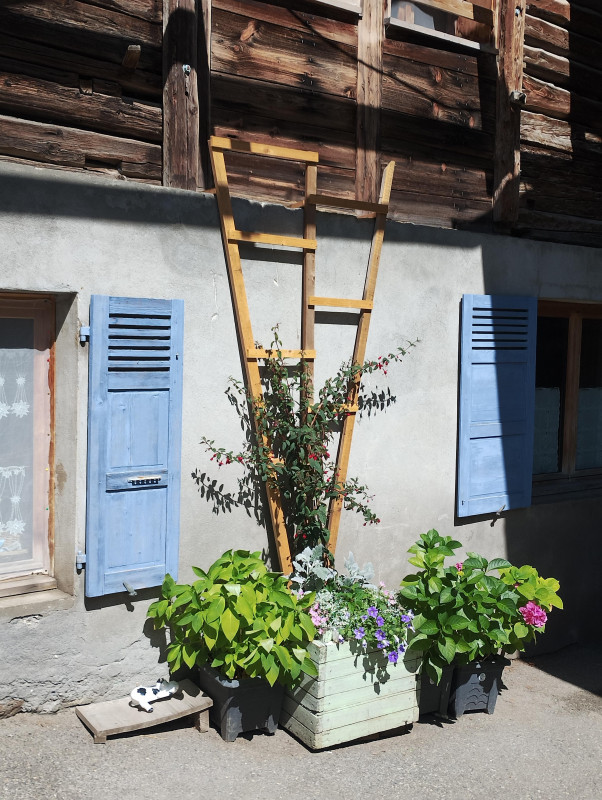 Appartement 4 pièces 6 personnes - Les Embrunes du Praz_Arêches-Beaufort