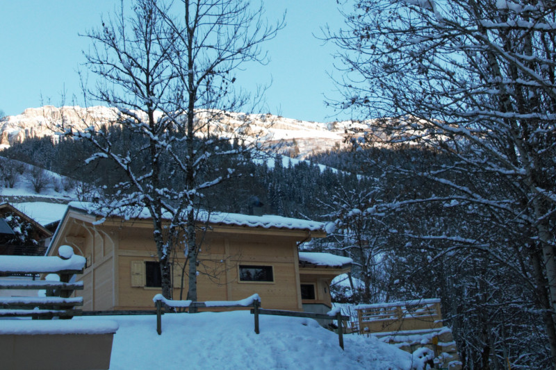 chalet_hiver_2021.jpg chalet_hiver_2021.jpg