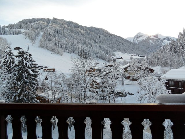 vue en hiver - © VIONNET vue en hiver