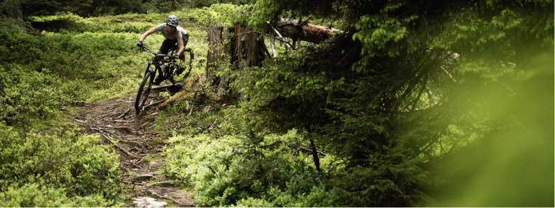 800x600-capture-d-e-cran-2026-04-01-a-09-59-32-5412686-5442781 800x600-capture-d-e-cran-2026-04-01-a-09-59-32-5412686-5442781