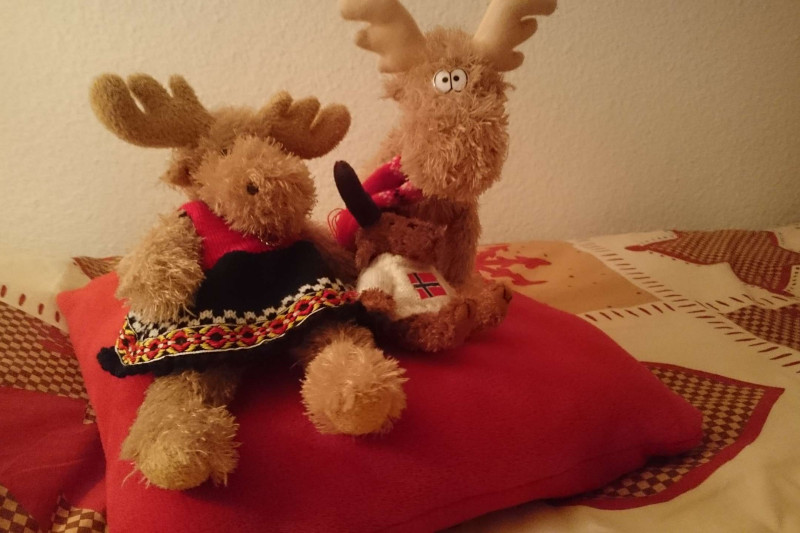 _clients_227327001_photos_103h_4645092