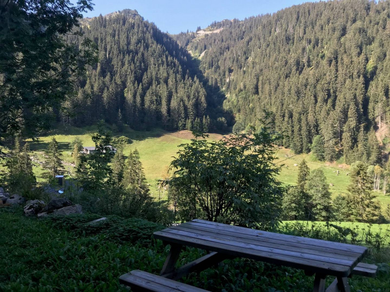 _clients_227327001_photos_105g_5472878