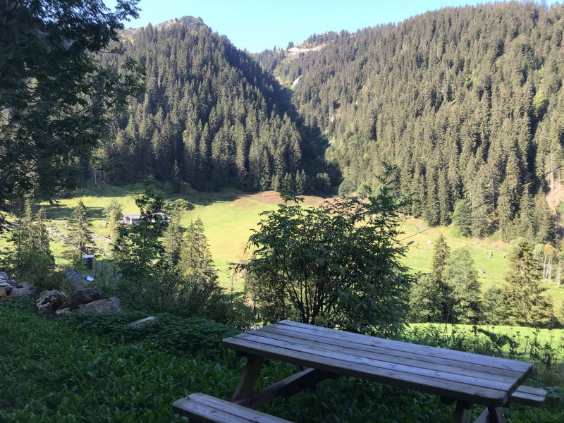 _clients_227327001_photos_105k_5298560