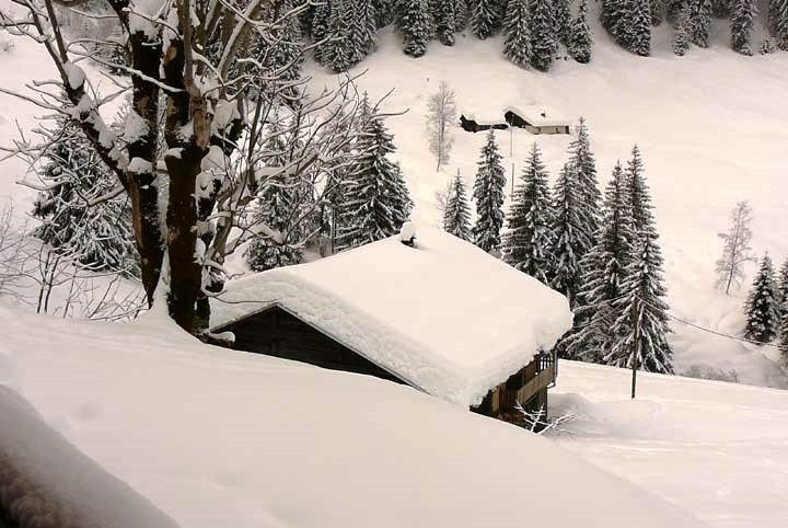 _clients_227327001_photos_105s_4530266 _clients_227327001_photos_105s_4530266