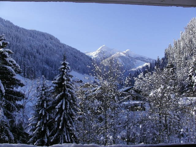 _clients_227327001_photos_11m_5330365 _clients_227327001_photos_11m_5330365