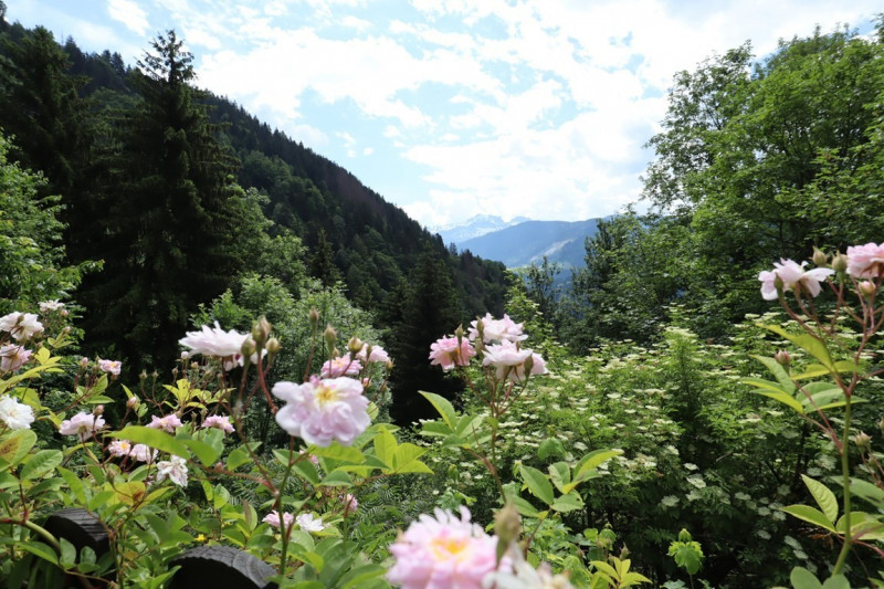 _clients_227327001_photos_121c_4909423