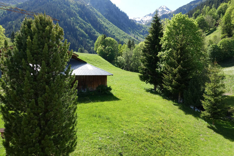 _clients_227327001_photos_136g_5511411