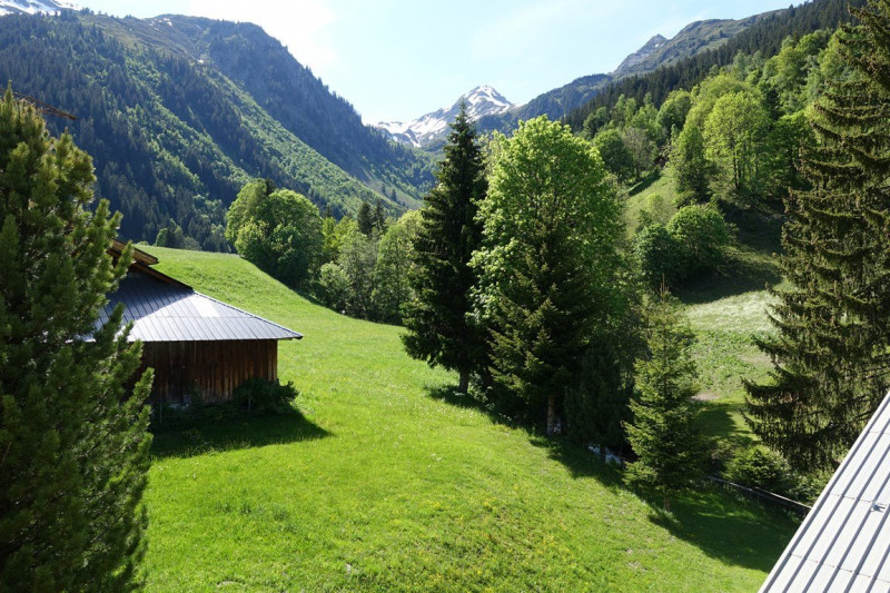 _clients_227327001_photos_136m_5407243 _clients_227327001_photos_136m_5407243