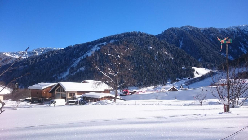 _clients_227327001_photos_136n_5450347