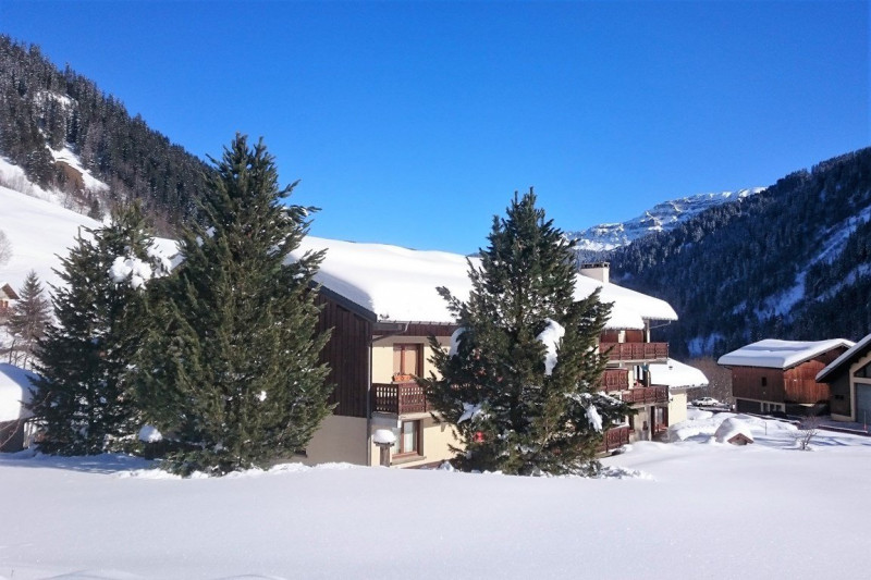 _clients_227327001_photos_136q_5006805 _clients_227327001_photos_136q_5006805