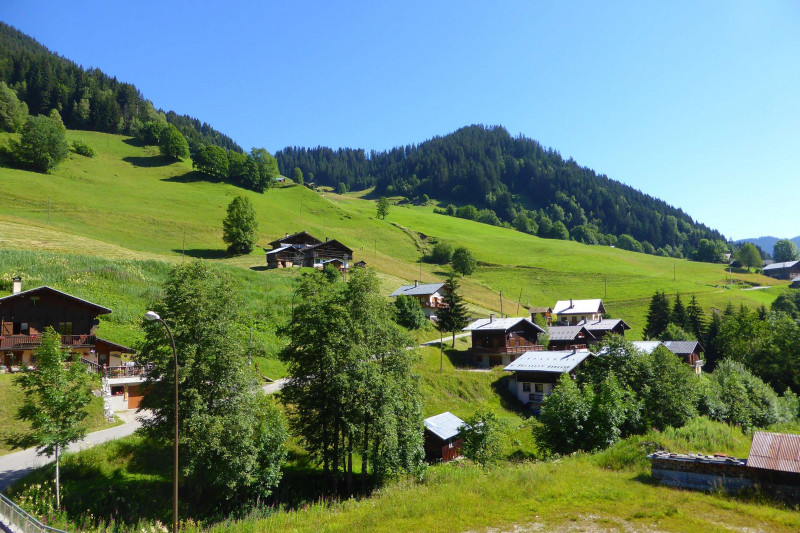 _clients_227327001_photos_141k_4961670