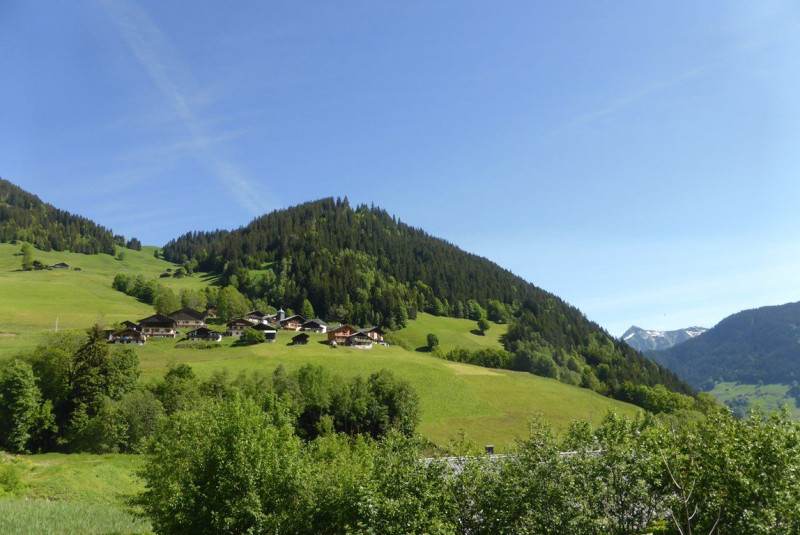 _clients_227327001_photos_141l_5369158