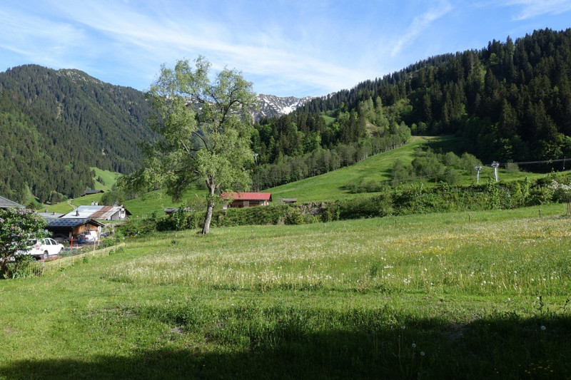 _clients_227327001_photos_148k_5396087 _clients_227327001_photos_148k_5396087