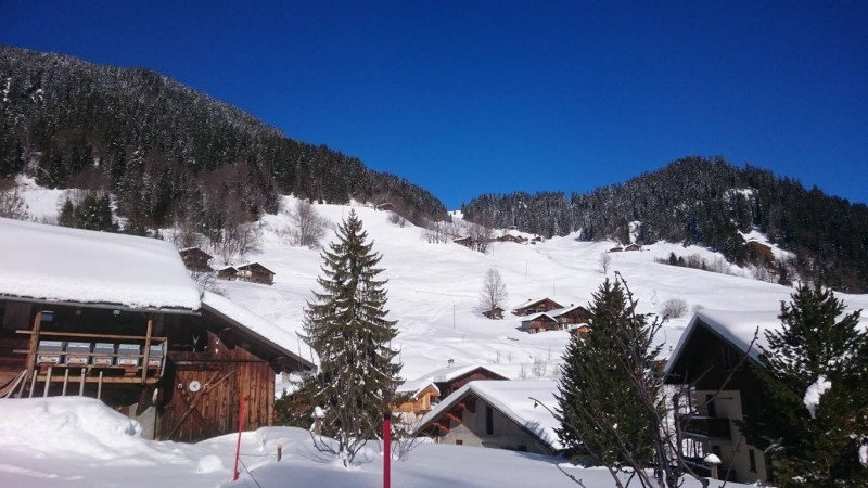 _clients_227327001_photos_150l_5247660 _clients_227327001_photos_150l_5247660