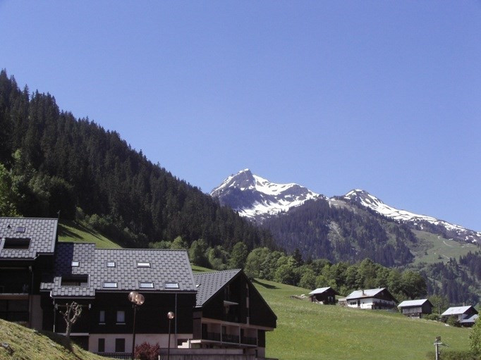 _clients_227327001_photos_169b_5209260