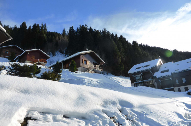 _clients_227327001_photos_169n_4547888 _clients_227327001_photos_169n_4547888