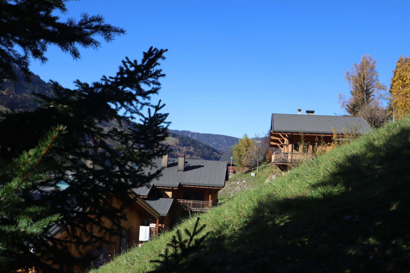 _clients_227327001_photos_176g_5337219