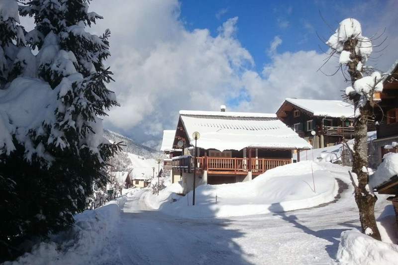 _clients_227327001_photos_184v_5465828