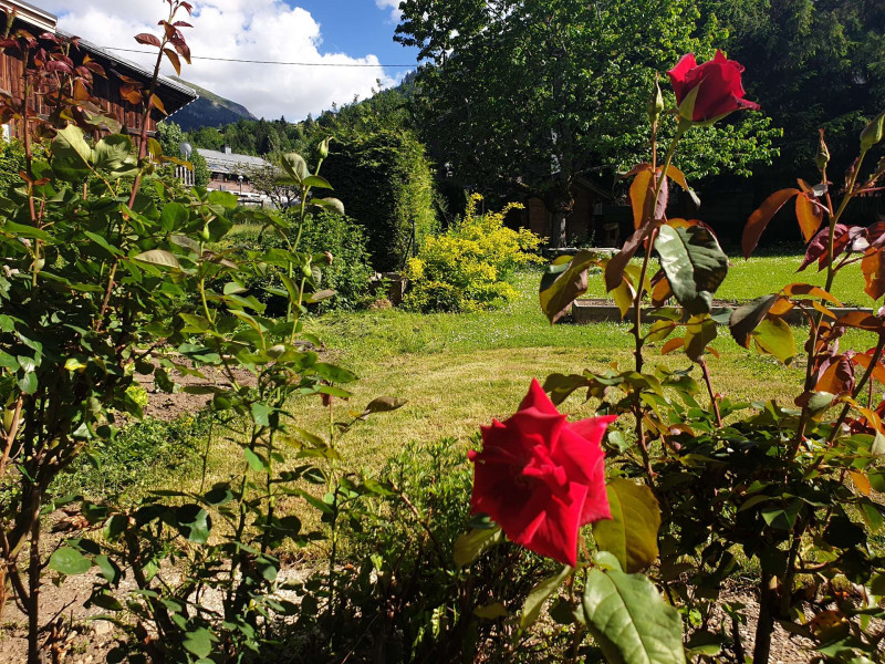 _clients_227327001_photos_199j_4787792 _clients_227327001_photos_199j_4787792