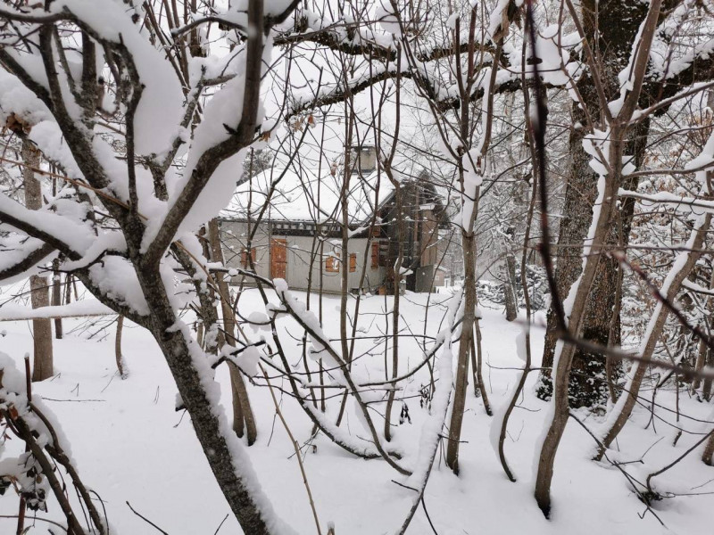 _clients_227327001_photos_208i_5254403