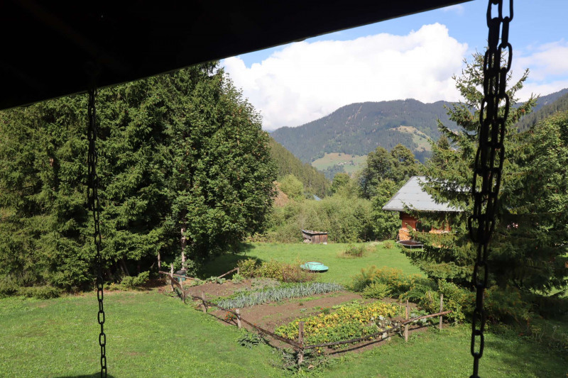 _clients_227327001_photos_208m_5104954