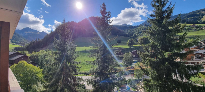 _clients_227327001_photos_209g_5473642