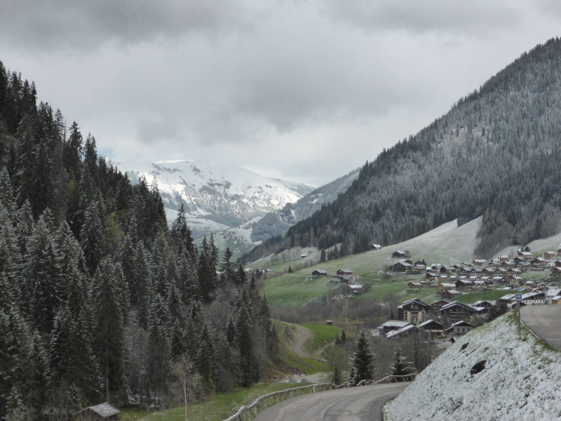 _clients_227327001_photos_214e_4916461 _clients_227327001_photos_214e_4916461