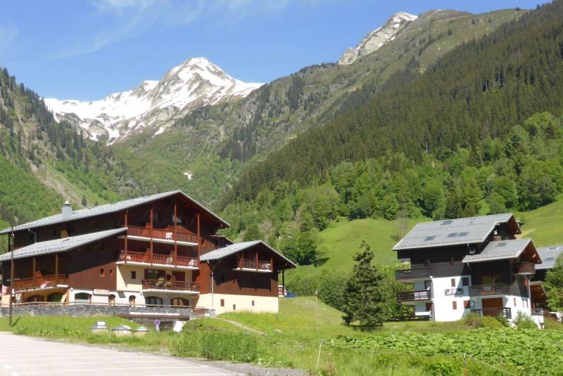 _clients_227327001_photos_223k_4601916