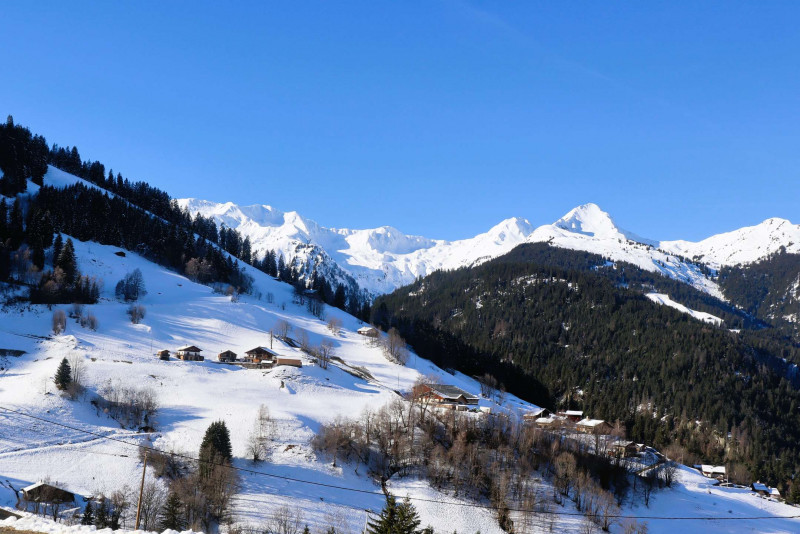 _clients_227327001_photos_230s_5489096