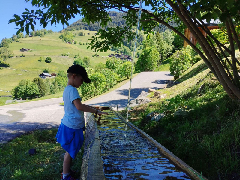 _clients_227327001_photos_230t_5500535