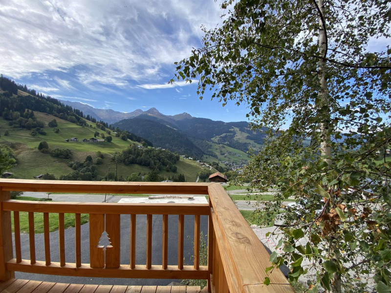 _clients_227327001_photos_230x_5519814