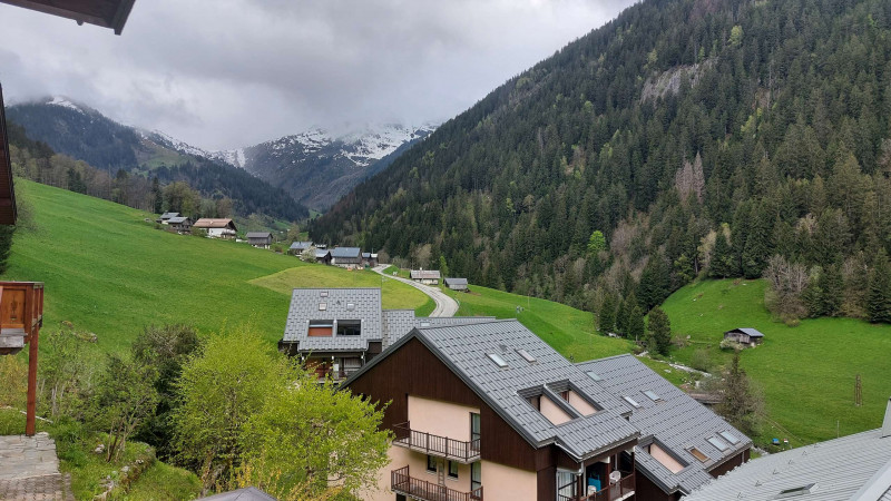 _clients_227327001_photos_245i_5404279 _clients_227327001_photos_245i_5404279