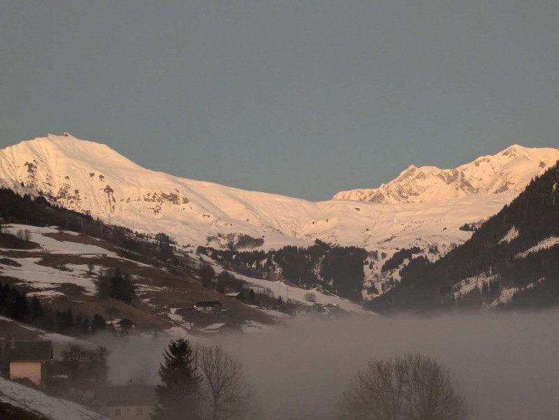 _clients_227327001_photos_257c_4819021 _clients_227327001_photos_257c_4819021