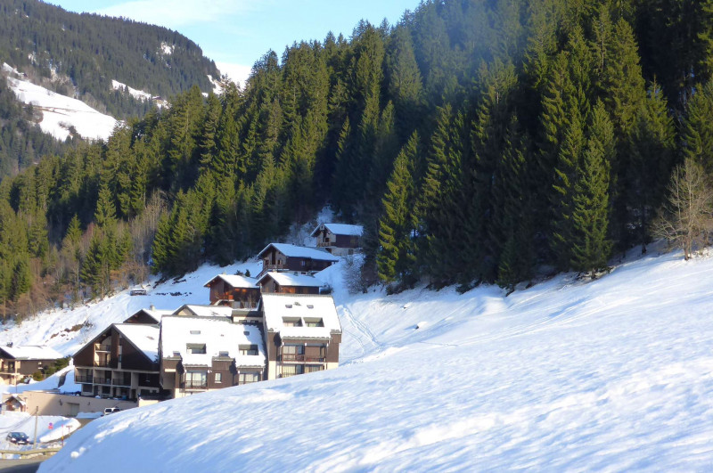 _clients_227327001_photos_258i_5357172 _clients_227327001_photos_258i_5357172