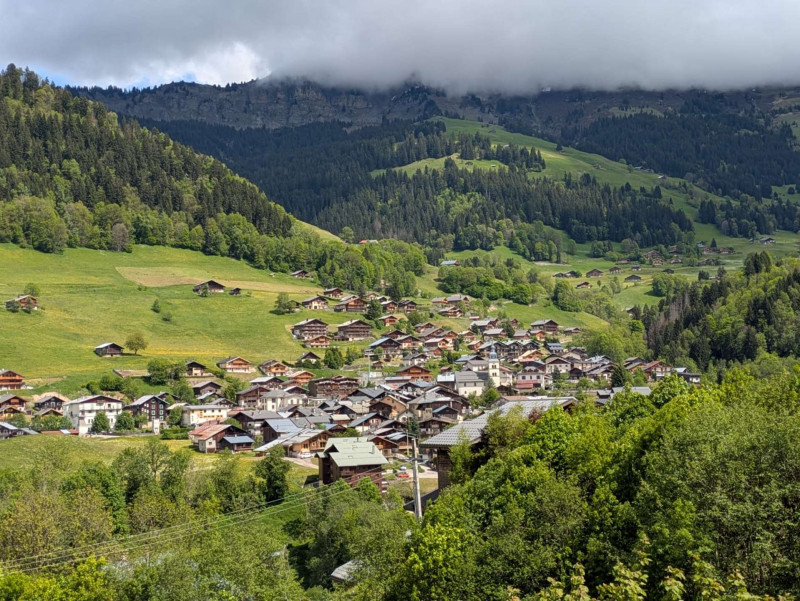 _clients_227327001_photos_259n_5184127 _clients_227327001_photos_259n_5184127