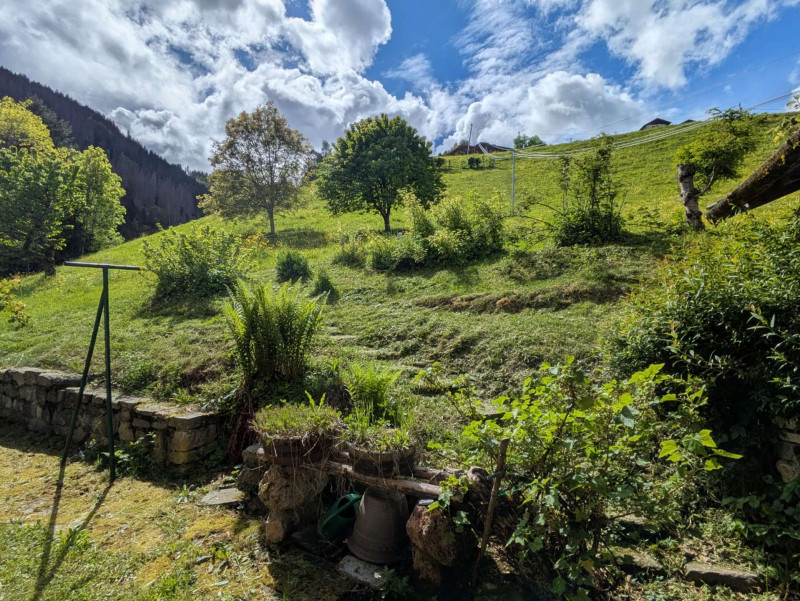 _clients_227327001_photos_259p_5427094