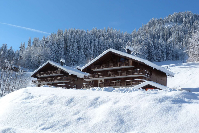 _clients_227327001_photos_267i_5411973 _clients_227327001_photos_267i_5411973