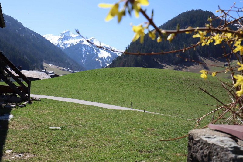 _clients_227327001_photos_29n_5445887