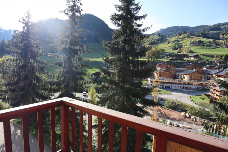 _clients_227327001_photos_39g_5504912