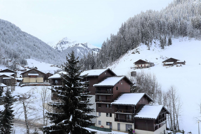 _clients_227327001_photos_45f_5344621