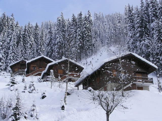 _clients_227327001_photos_68p_6278715 _clients_227327001_photos_68p_6278715